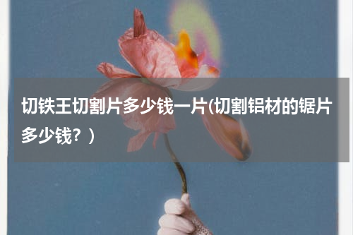 切铁王切割片多少钱一片(切割铝材的锯片多少钱？)