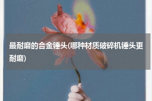 最耐磨的合金锤头(哪种材质破碎机锤头更耐磨)