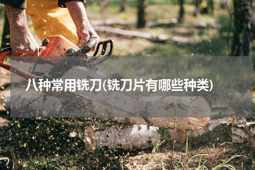 八种常用铣刀(铣刀片有哪些种类)