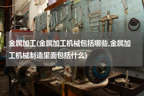 金属加工(金属加工机械包括哪些,金属加工机械制造里面包括什么)