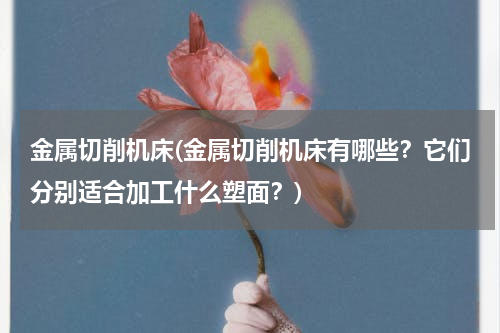 金属切削机床(金属切削机床有哪些？它们分别适合加工什么塑面？)