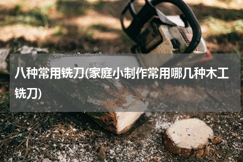 八种常用铣刀(家庭小制作常用哪几种木工铣刀)