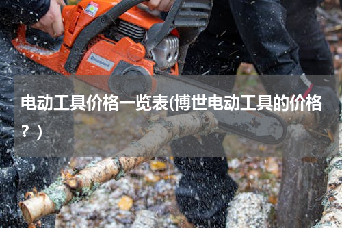 电动工具价格一览表(博世电动工具的价格？)