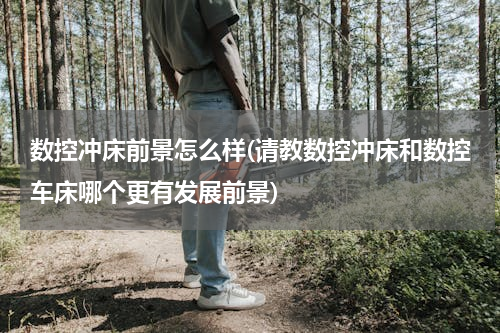 数控冲床前景怎么样(请教数控冲床和数控车床哪个更有发展前景)
