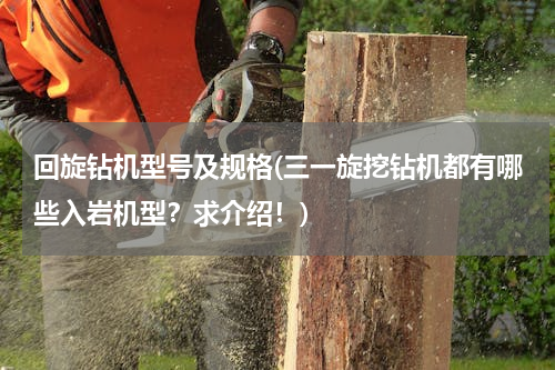 回旋钻机型号及规格(三一旋挖钻机都有哪些入岩机型？求介绍！)