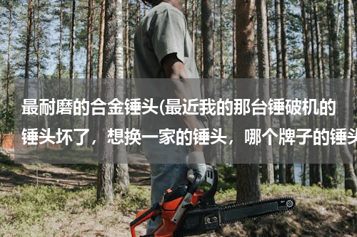 最耐磨的合金锤头(最近我的那台锤破机的锤头坏了，想换一家的锤头，哪个牌子的锤头好点？简单点非诚勿扰)