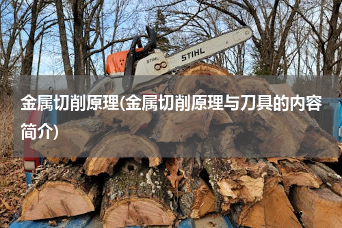 金属切削原理(金属切削原理与刀具的内容简介)
