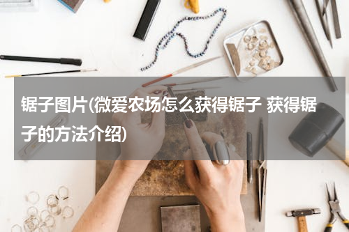锯子图片(微爱农场怎么获得锯子 获得锯子的方法介绍)
