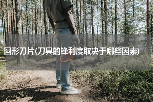 圆形刀片(刀具的锋利度取决于哪些因素)
