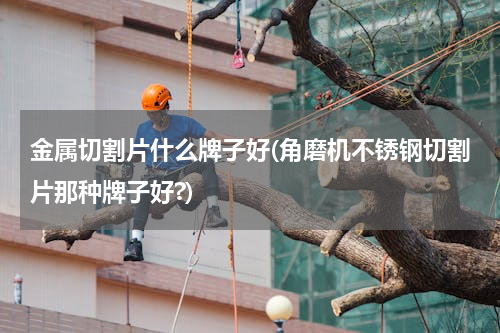 金属切割片什么牌子好(角磨机不锈钢切割片那种牌子好?)