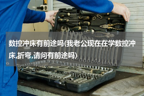 数控冲床有前途吗(我老公现在在学数控冲床,折弯,请问有前途吗)