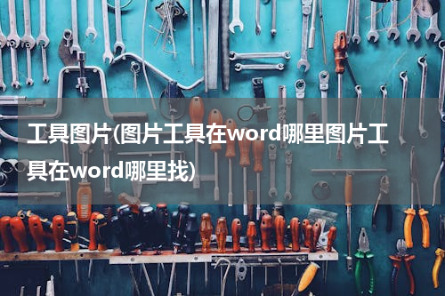 工具图片(图片工具在word哪里图片工具在word哪里找)