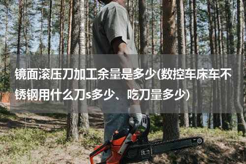 镜面滚压刀加工余量是多少(数控车床车不锈钢用什么刀s多少、吃刀量多少)