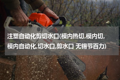 注塑自动化剪切水口(模内热切,模内切,模内自动化,切水口,剪水口 无锡节百力)