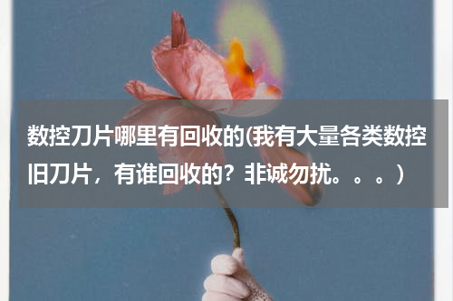 数控刀片哪里有回收的(我有大量各类数控旧刀片，有谁回收的？非诚勿扰。。。)