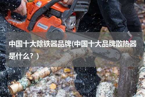 中国十大除铁器品牌(中国十大品牌散热器是什么？)