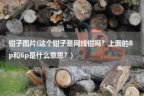 钳子图片(这个钳子是网线钳吗？上面的8p和6p是什么意思？)