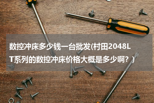 数控冲床多少钱一台批发(村田2048LT系列的数控冲床价格大概是多少啊？)