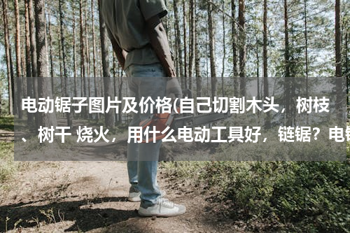 电动锯子图片及价格(自己切割木头，树枝、树干 烧火，用什么电动工具好，链锯？电锯？是一样的东西吗？市场价多少？)