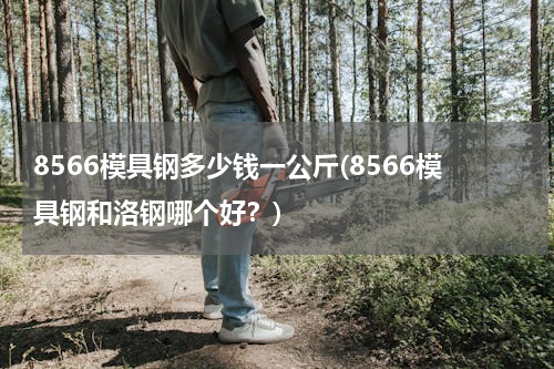 8566模具钢多少钱一公斤(8566模具钢和洛钢哪个好？)