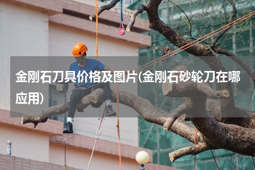 金刚石刀具价格及图片(金刚石砂轮刀在哪应用)