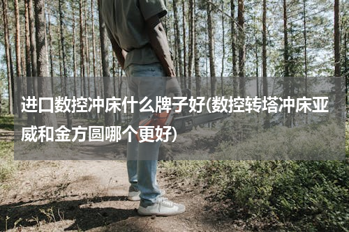 进口数控冲床什么牌子好(数控转塔冲床亚威和金方圆哪个更好)
