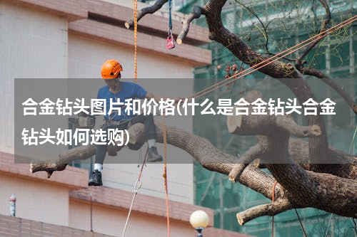合金钻头图片和价格(什么是合金钻头合金钻头如何选购)
