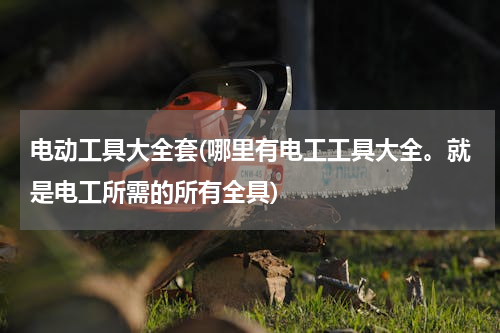 电动工具大全套(哪里有电工工具大全。就是电工所需的所有全具)