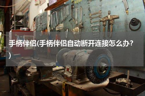 手柄伴侣(手柄伴侣自动断开连接怎么办？)