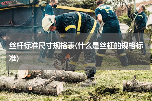 丝杆标准尺寸规格表(什么是丝杠的规格标准)