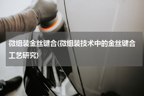 微组装金丝键合(微组装技术中的金丝键合工艺研究)