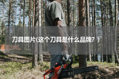 刀具图片(这个刀具是什么品牌？)