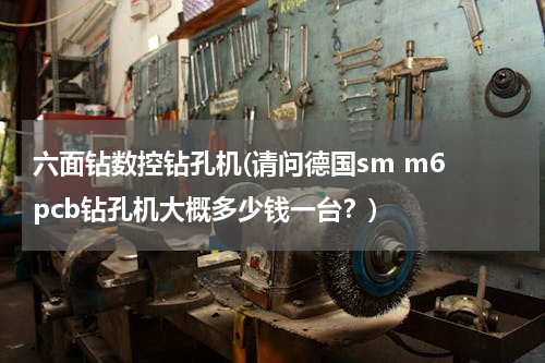 六面钻数控钻孔机(请问德国sm m6 pcb钻孔机大概多少钱一台？)