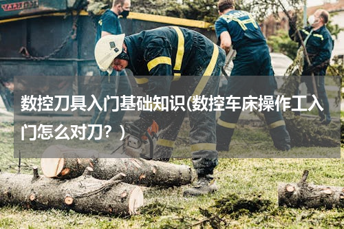 数控刀具入门基础知识(数控车床操作工入门怎么对刀？)