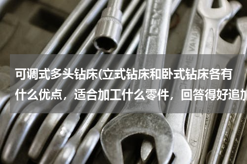 可调式多头钻床(立式钻床和卧式钻床各有什么优点，适合加工什么零件，回答得好追加100积分)