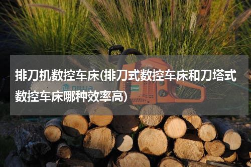 排刀机数控车床(排刀式数控车床和刀塔式数控车床哪种效率高)