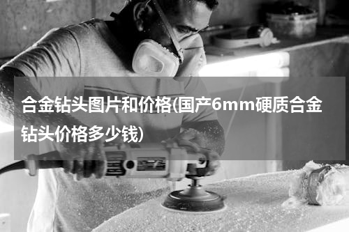 合金钻头图片和价格(国产6mm硬质合金钻头价格多少钱)