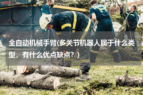 全自动机械手臂(多关节机器人属于什么类型，有什么优点缺点？)