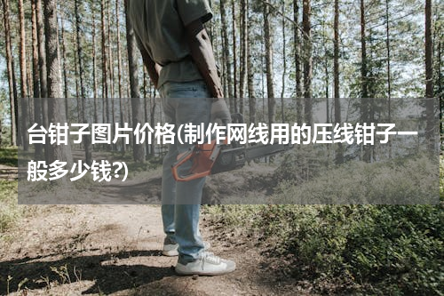 台钳子图片价格(制作网线用的压线钳子一般多少钱?)