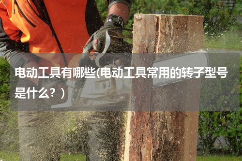 电动工具有哪些(电动工具常用的转子型号是什么？)