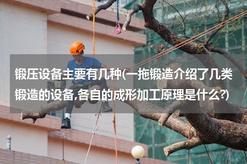 锻压设备主要有几种(一拖锻造介绍了几类锻造的设备,各自的成形加工原理是什么?)