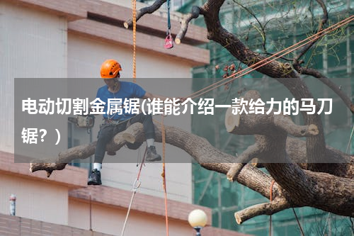 电动切割金属锯(谁能介绍一款给力的马刀锯？)
