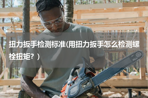 扭力扳手检测标准(用扭力扳手怎么检测螺栓扭矩？)