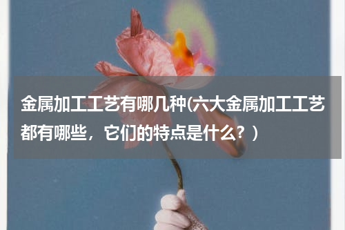 金属加工工艺有哪几种(六大金属加工工艺都有哪些，它们的特点是什么？)