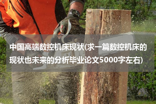 中国高端数控机床现状(求一篇数控机床的现状也未来的分析毕业论文5000字左右)