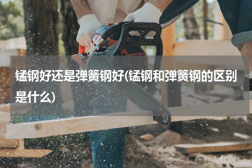 锰钢好还是弹簧钢好(锰钢和弹簧钢的区别是什么)