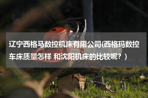 辽宁西格马数控机床有限公司(西格玛数控车床质量怎样 和沈阳机床的比较呢？)