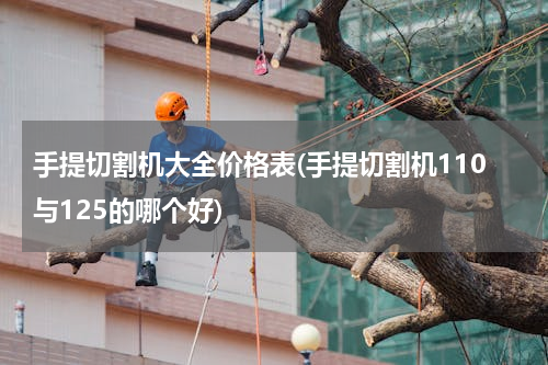 手提切割机大全价格表(手提切割机110与125的哪个好)
