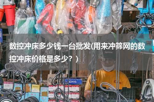 数控冲床多少钱一台批发(用来冲筛网的数控冲床价格是多少？)