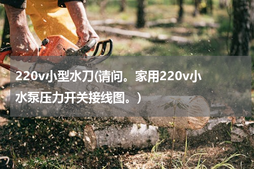 220v小型水刀(请问。家用220v小水泵压力开关接线图。)